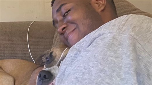 Two dogs electrocuted in Northwest DC