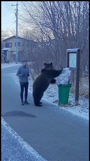 Jogger Freezes When a Bear Suddenly Appears on the Trail 🐻😱