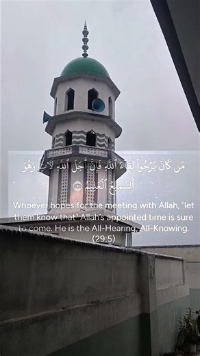 #telawat #telawat_e_quran #telawate #quran #quranrecitation #islamicvideo #islam #islamic #foryou