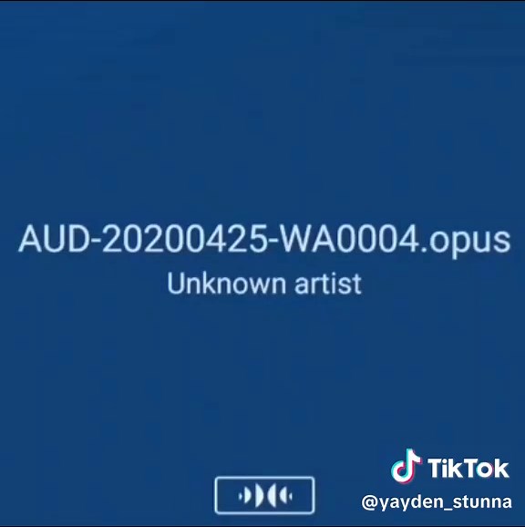 aud-20190623-wa0033 audio clip - how to find and identify
