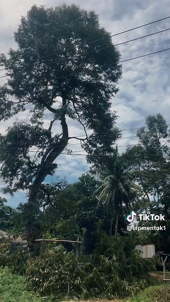 Be Humble: Insights and Reflections