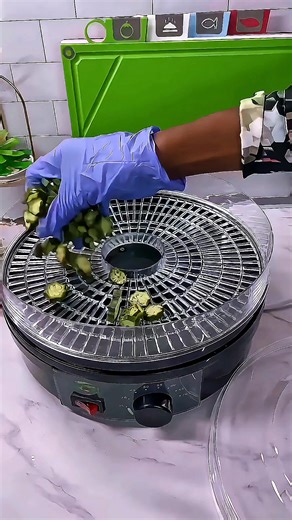 Order Your 450gh Speaker Today!