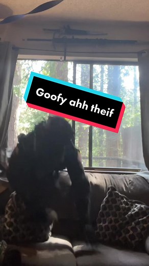 I’m a good theif #fyp #blowthisup #viral #tactical #airsoft #scp #milsim #tactical #blackmulticam #airsofter