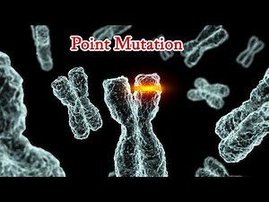 Point Mutation- Nonsense mutation, Missense mutations, Silent mutations
