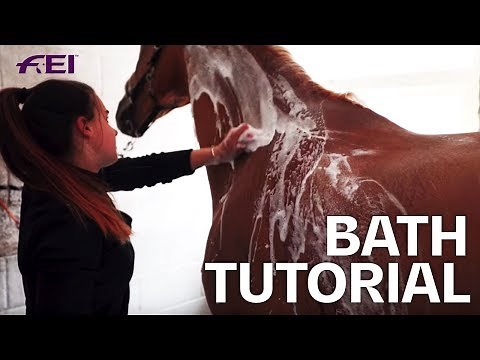 How to bath a Horse for a Dressage Show? Tutorial with Olivia Towers | Guest Vlog