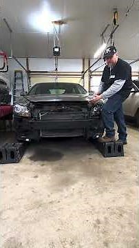 Should You Fix Your Car After a Deer Hit? | Quick Crash Advice