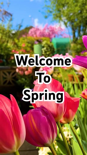 Happy Spring 2026 🌷🌸🌱