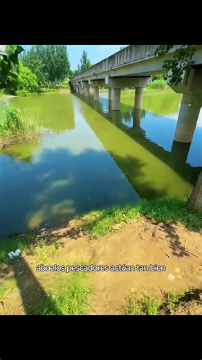 River fishing tips for anglers: natural bait & techniques