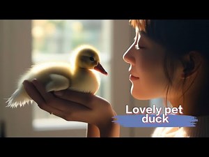 This dog brought home a duck to my family and I raised it with all my love.