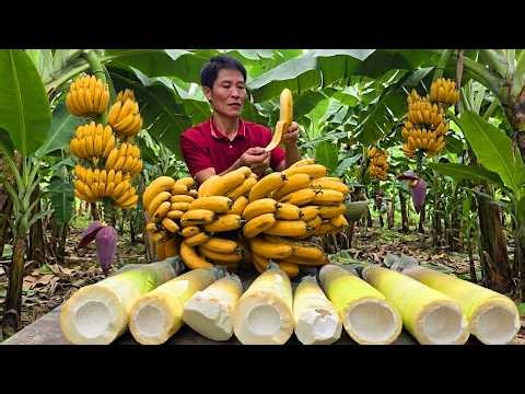 Harvesting Giant Bamboo Shoots & Fresh Bananas on a Remote Farm for Local Sales