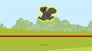 Sesame Street - 17 squirrels Video | PBS KIDS