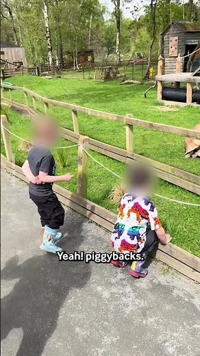 Kids Get Confused At Tortoises Having "Fun" 😂