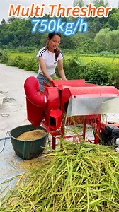 19K views · 146 reactions | TW40 paddy thresher, 550kg/h.#thresher | Mini Rice Mill Machine | Facebook