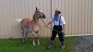 31K views · 384 reactions | The most accurate weather reporter in all of Pennsylvania is Jacob the Amish weatherman. Check out that mobil storm tracker unit! | Dave "Showtime" Meyer | Facebook