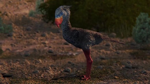 Discovering Male Phorusrhacos Behavior