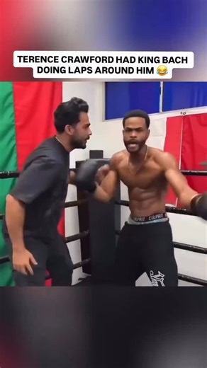 Hit House on Instagram: "@theringcouture Terence Crawford Had King Bach Doing A Siesta 😭 The Way He Went In Circles Before He Dropped 💀 Yeah This Linkup Is Too Funny 😂 . Terence Crawford is an American professional boxer, multi-division world champion, and one of the top pound-for-pound fighters in the world. Known for his knockout power, boxing IQ, and elite skill, Crawford has built a reputation as one of the most dangerous fighters in combat sports. King Bach, also known as Andrew Bachelor