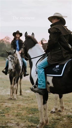 4 comments | The first of much more to share ✨ #country #horses #western #nikon #glenworthvalley #equestrian #runninghorses #horsesofinstagram #stockman | Emma Fiddler Photography | Facebook