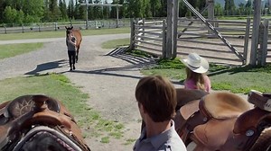 FERMA HEARTLAND SEZONUL 12 EPISODUL 6 DIAMOND IN THE ROUGH