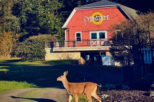 Dreaming of Wine? Washington Wineries Where You Can Sip and Sleep