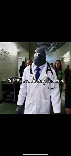 Tuff Pigeon Doctor: The Iconic Meme Explained