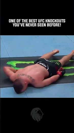 The Greatest UFC Knockout of All Time!