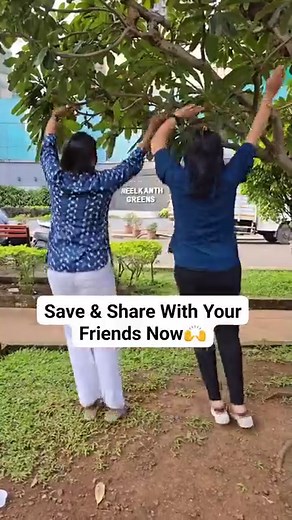 Ready for a little Halloween Magic?👿🎃 #halloween2023 . . . . . . #hungrybirds #halloween #happyhalloween #halloween🎃 #halloweencostume #halloweenmakeup #halloweenvibes #halloweentransition #halloweenreels #reelsinstagram #reelsexplore | Hungry Birds