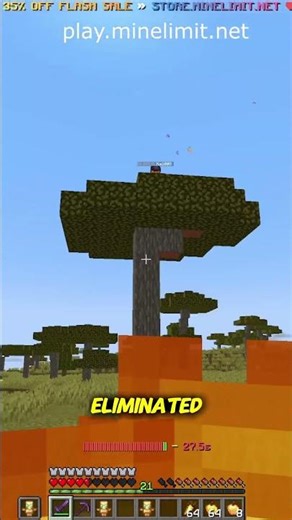 I Caught This INSANE Fly Hacker On My Lifesteal SMP!