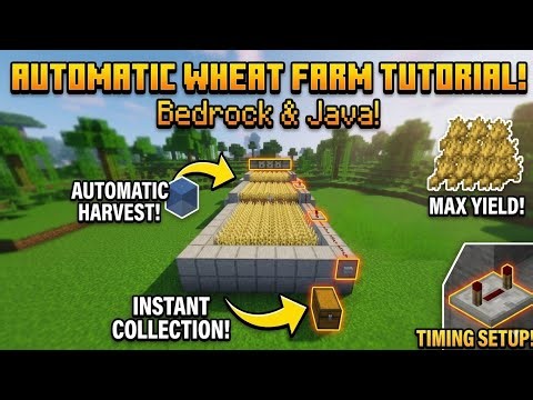 EASIEST Automatic Wheat Farm Tutorial 1.21! (Bedrock & Java)