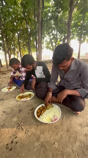 Understanding the Bond Between Dogs and Humans