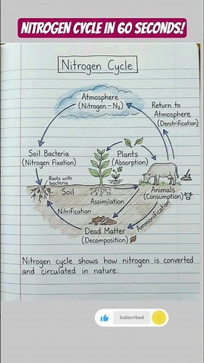 Nitrogen Cycle Explained in 60 Seconds 🌱 | Nitrogen Fixation, Diagram & Class 8 Science