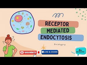 Receptor Mediated Endocytosis || Cell Biology || Cholesterol Uptake via LDL Receptor