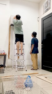 A clean and organized breeding setup starts with a strong mounting system. Setting up wooden support rails to keep each cage perfectly aligned and easy to access. Simple work that makes the whole room look professional and efficient. #BirdBreeding #CageSetup #AviaryBuild #DIYBirdRoom #HighCPMContent | Indra Prihantoro