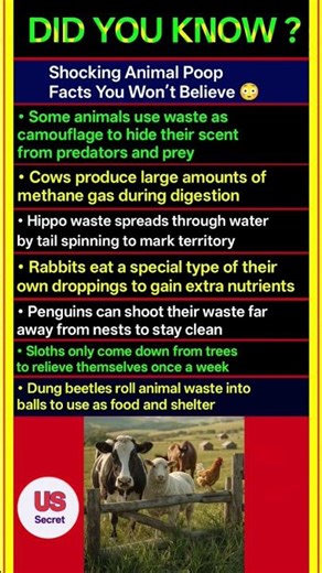 Shocking Animal Poop Facts You Won’t Believe 😳