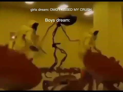 Girls Vs boys dream
