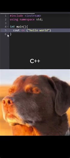 print("Hello World")😭😭