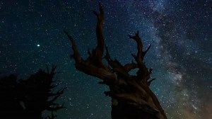 TimeScapes - 2012 - 1080p - FullHD