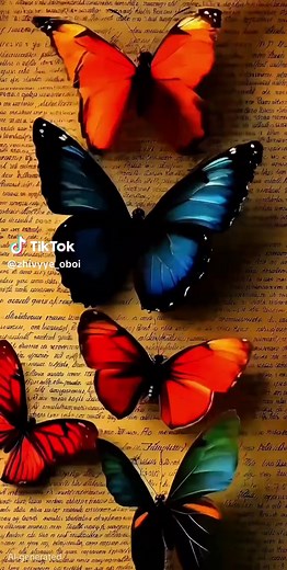 Live Wallpaper 4K: Stunning Butterfly Designs
