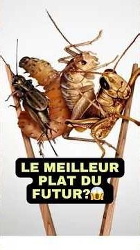 What If Crickets Were Better Than Meat? #DrPatrick #health #tips #food