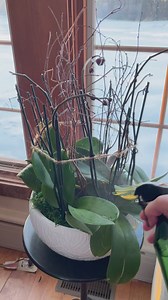 Michelle Wright WTAE on Reels