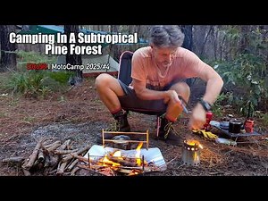 Motorcycle Camping In The Forest | DR650 | 2025 | #motocamping #DR650