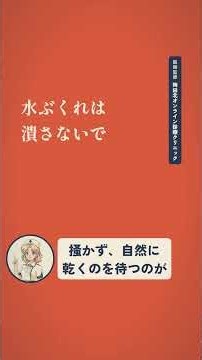汗疱は汗のせいじゃない？夏の手の水ぶくれの本当の原因