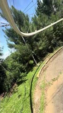 Python Roller Zipline Ride | Dahilayan Adventure Park | Bukidnon