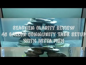 Seachem Clarity Review - For Cloudy Tank from new Sand - Also 45 Gallon Community Tank with Betta