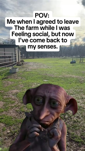 Life on a Hobby Farm: Fun and Challenges