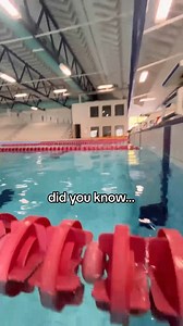 Did you know this swimming fact? 🤯 This definitely blew our minds! @watery #swimmers #swimschool #swimming #swimminglessons #learntoswim | Swimtime Edinburgh