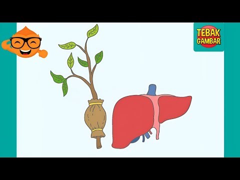 Tebak Gambar Level 81 - ?