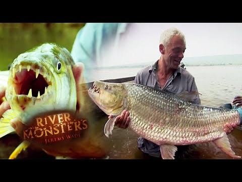 The Terrifying Tigerfish | TIGERFISH | River Monsters