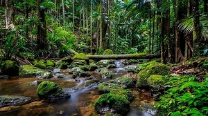 ALL ABOUT MEGASPOREBIOTIC AND WHY IT IS THE NEXT GENERATION PROBIOTIC