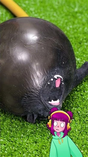 SQUISHY WATER FUN!💦 Unbelievable Experiments with COOL TOOL