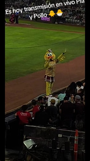 En vivo y a todo color 🐥🐣#pia #coqueta #pollo #divercion🤣🤣🤣🤣 #beisbol